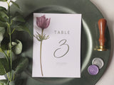 Mauve Table Numbers